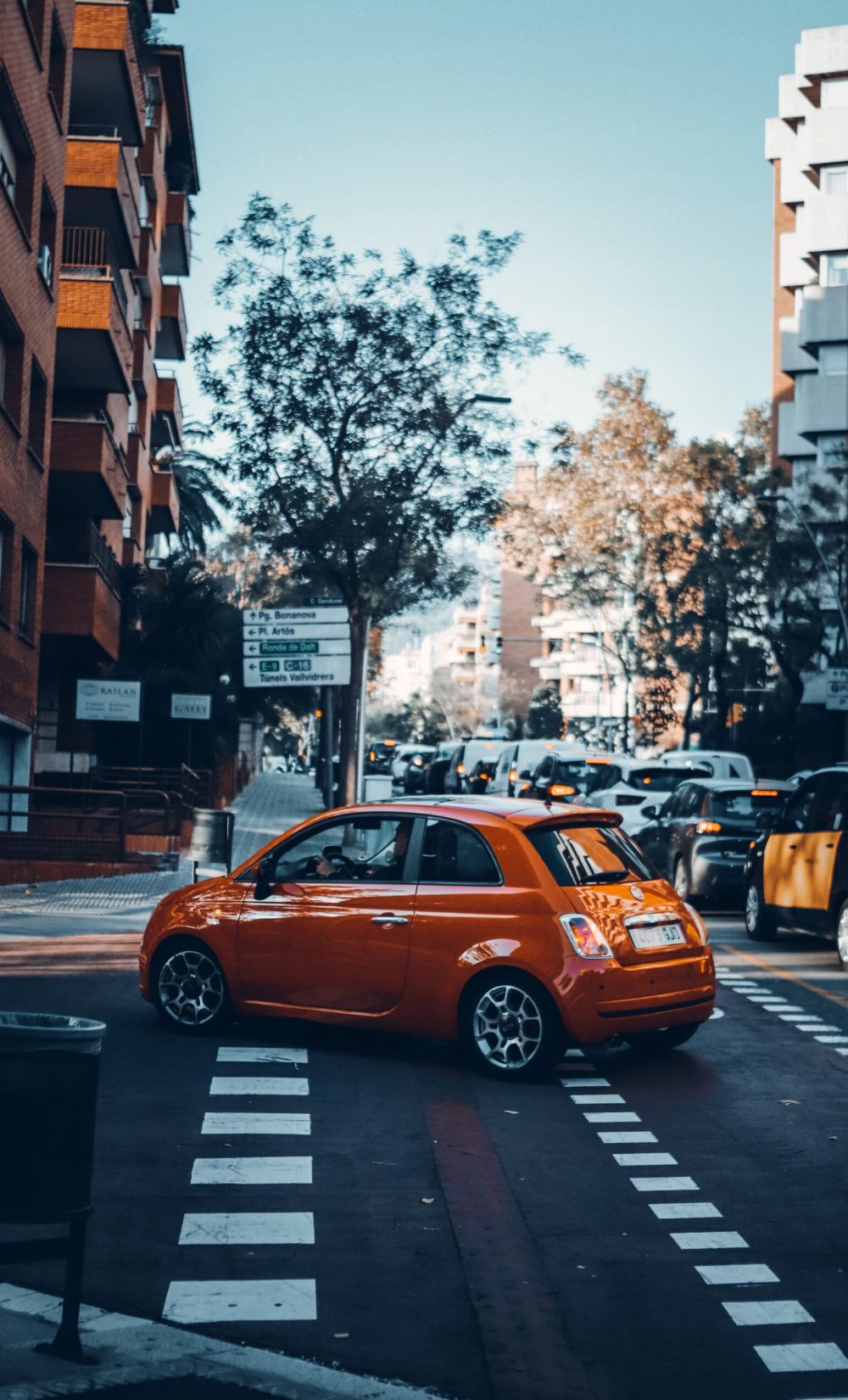 pexels-el-gringo-photo-116752370-10278779
